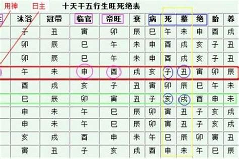 身旺身弱判定|身旺・身弱いの定義と判定方法：命式を読む 